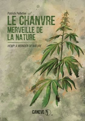 chanvre 1