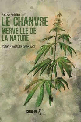 chanvre 1