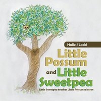 bokomslag Little Possum and Little Sweetpea