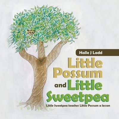Little Possum and Little Sweetpea 1
