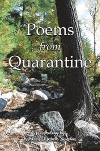 bokomslag Poems from Quarantine