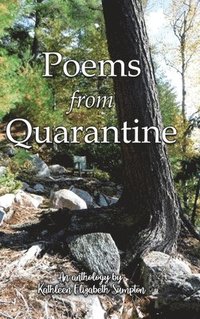 bokomslag Poems from Quarantine