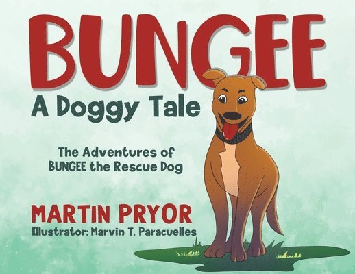 Martin Pryor - Bungee, Häftad