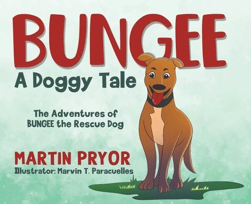 Martin Pryor - Bungee, Inbunden
