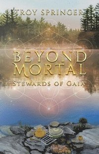bokomslag Beyond Mortal