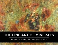 bokomslag The Fine Art Of Minerals