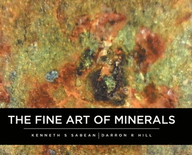 bokomslag The Fine Art Of Minerals