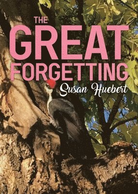 Susan Huebert - Great Forgetting, Häftad