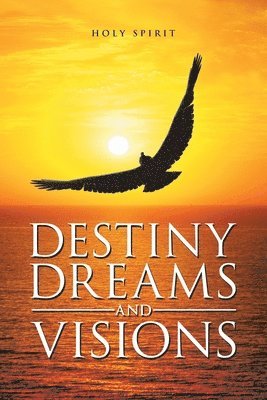 bokomslag Destiny Dreams and Visions