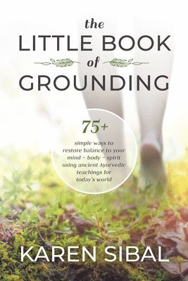 bokomslag The Little Book of Grounding