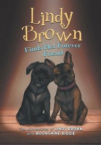 bokomslag Lindy Brown Finds Her Forever Friend