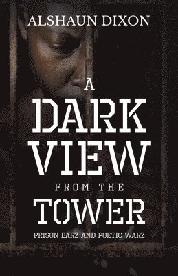 A Dark View From The Tower 1
