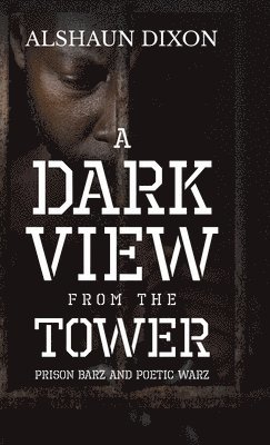 A Dark View From The Tower 1