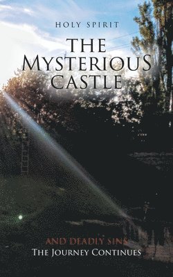 bokomslag Mysterious Castle
