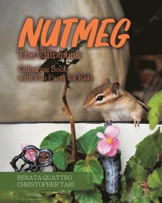 Nutmeg the Chipmunk 1