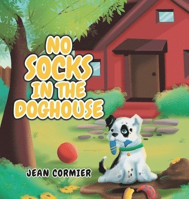 No Socks in the Doghouse