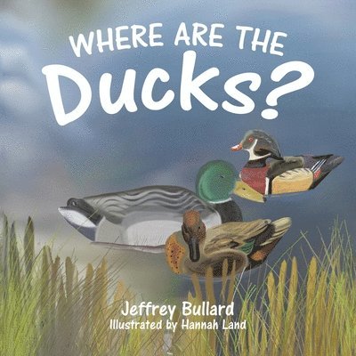 Where Are the Ducks? 1