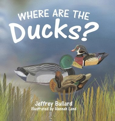 Where Are the Ducks? 1