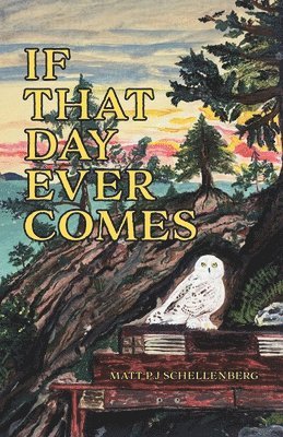 bokomslag If That Day Ever Comes