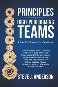 bokomslag Principles of High Performing Teams
