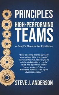 bokomslag Principles of High Performing Teams