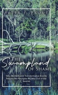 bokomslag The Swampland of Shame