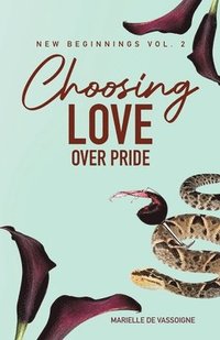bokomslag Choosing Love Over Pride