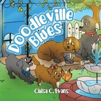 bokomslag Doodleville Blues