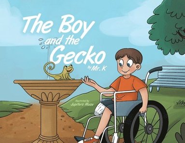 bokomslag The Boy and the Gecko