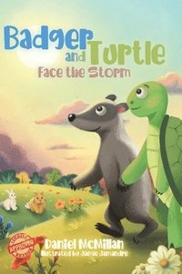 bokomslag Badger and Turtle