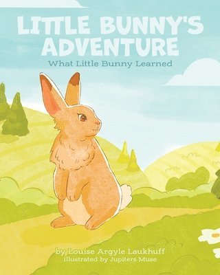 Little Bunny's Adventure 1