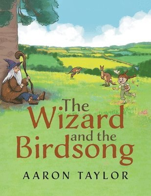 Taylor - Wizard and the Birdsong, Häftad