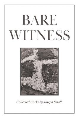 bokomslag Bare Witness