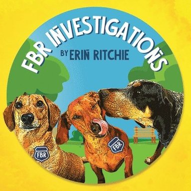 bokomslag FBR Investigations