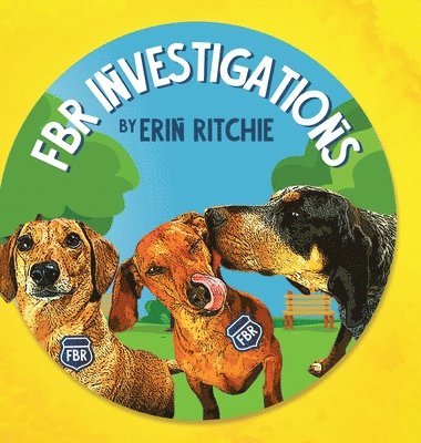 bokomslag FBR Investigations