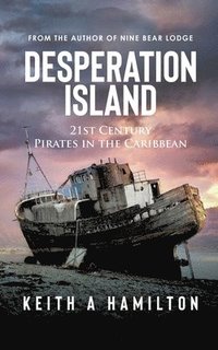 bokomslag Desperation Island