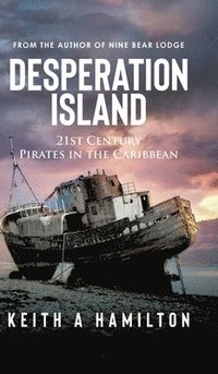 bokomslag Desperation Island