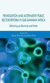 bokomslag Privatization and Alternative Public Sector Reform in Sub-Saharan Africa