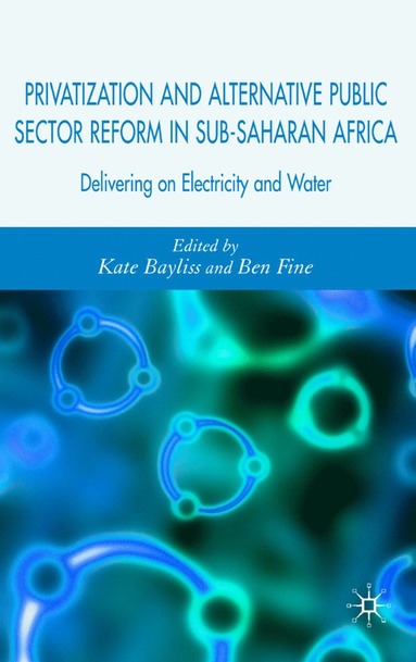 bokomslag Privatization and Alternative Public Sector Reform in Sub-Saharan Africa