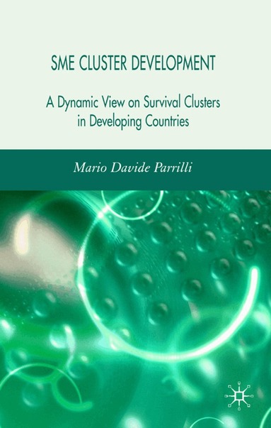 M. Parrilli - SME Cluster Development, Inbunden
