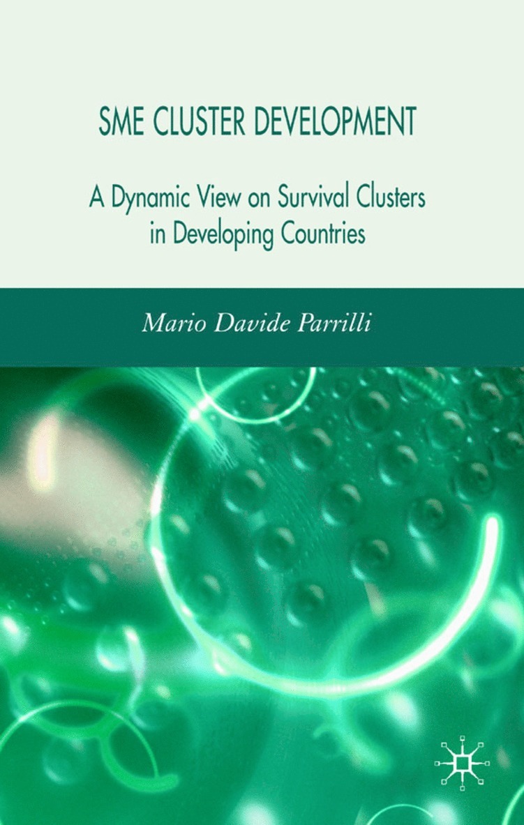 M. Parrilli, Dr Parrilli, Mario Davide - SME Cluster Development, Inbunden