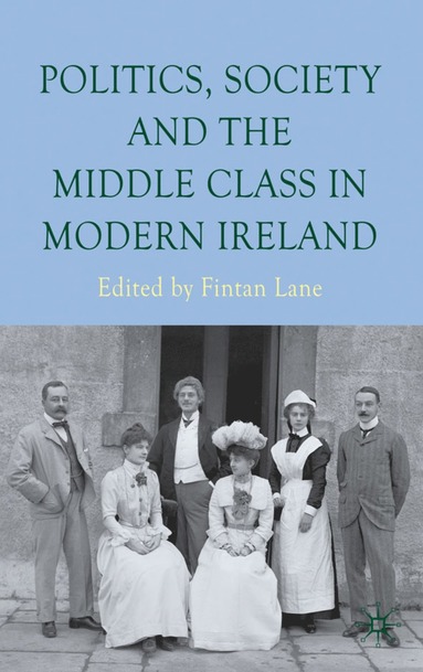 bokomslag Politics, Society and the Middle Class in Modern Ireland