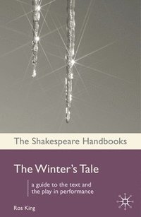bokomslag Winter's Tale