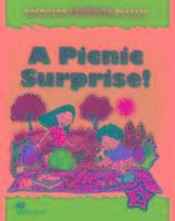 bokomslag Macmillan Children's Readers A Picnic Surprise International Level 2