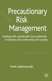 bokomslag Precautionary Risk Management