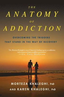 bokomslag The Anatomy of Addiction