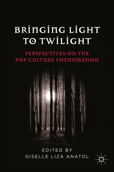 bokomslag Bringing Light to Twilight