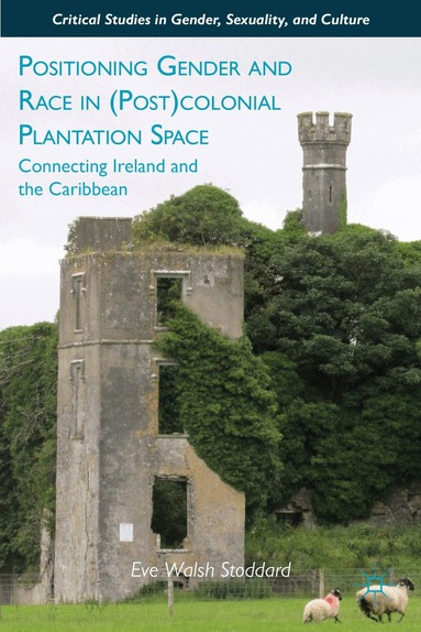 E. Stoddard - Positioning Gender and Race in (Post)colonial Plantation Space, Inbunden