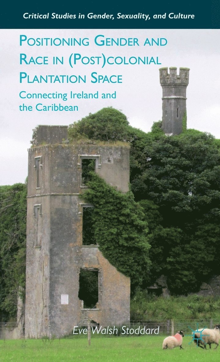 E. Stoddard, Eve Walsh Stoddard - Positioning Gender and Race in (Post)colonial Plantation Space, Inbunden