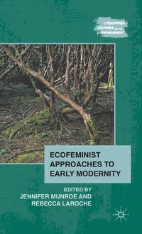 bokomslag Ecofeminist Approaches to Early Modernity